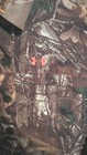 Picture 3 of 6