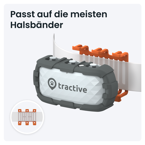 Tractive DOG XL Adventure | GPS für Hunde & Health Tracker | Grau | Neu - Bild 9 von 11
