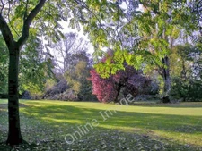 Photo 6x4 Autumn colours on Cannon Hill Common Morden/TQ2568 View northw c2010