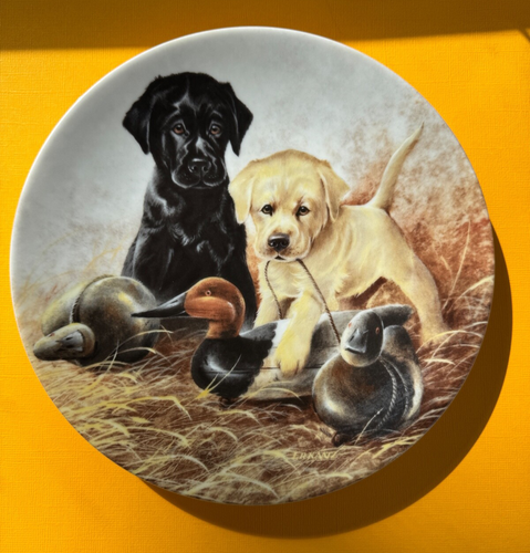 Edwin M Knowles 1988 "A Perfect Set~ Labrador Retrievers" 8.5 in Ltd.Ed Plate - Picture 2 of 9