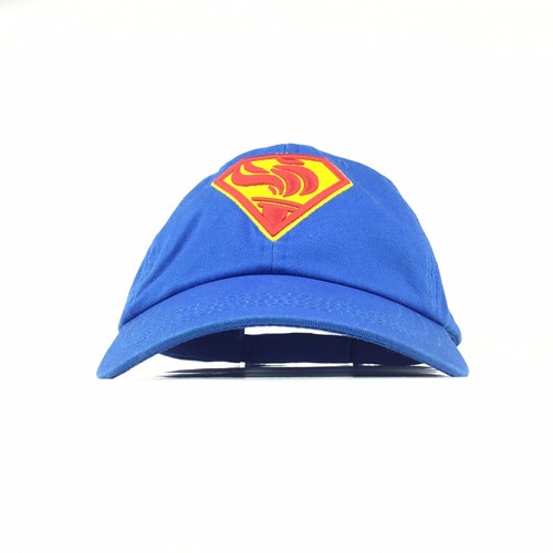 WRL Life Insurance Commuted To You For Life Baseball Cap Hat Adj. Mens Size Blue