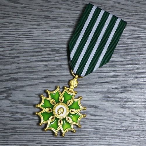 French Commemorative Medal for Arts and Letters Knight Officer Medal Lapel Pin - Picture 7 of 10