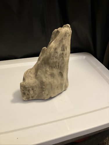 Weathered driftwood for crafts or home decor - Picture 2 of 4