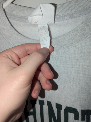 Sudadera Champion tejido inverso Universidad de Washington en St Louis talla S gris - Imagen 7 de 10