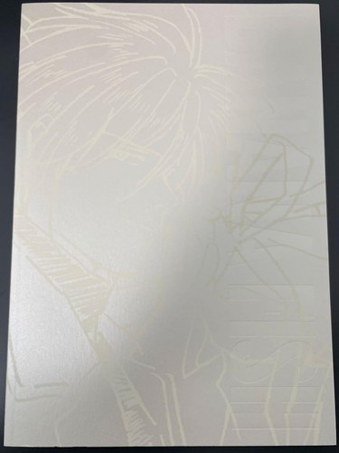 BANANA FISH Art & Staff Book w/Clear File MAPPA Anime Illustration Ausstellung - Bild 7 von 10