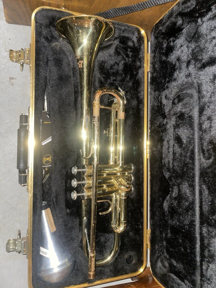 Trompeta estudiante Bach, laca, estuche rígido  Foto 2 de 3