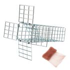 One-Way Rodent and Squirrel Trap with Copper Mesh for Effective Pest Control