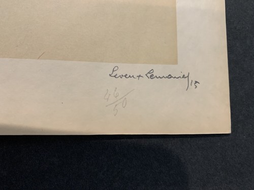 "Litografía francesa Les Poilus Alpine Hunter primera guerra mundial Leven & Lemonier 19,5 x 12,75""" - Imagen 3 de 4