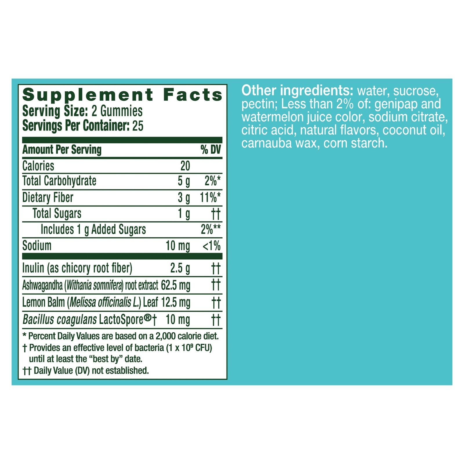 Align Probiotic Gummies Digestive Stress Relief with Ashwagandha 50