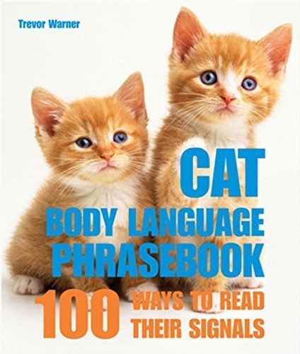 Cat Body Language Phrasebook: 100 Ways to Read Their Signals - Picture 1 of 4