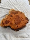 Yew Cookie Live Edge Wood Slab Ref:Y74