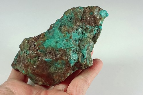 1353.5Ct Arizona Turquoise Rough Specimen Old stock YNS1454 - Picture 2 of 3