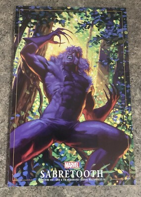 WOLVERINE #47 HILDEBRANDT SABRETOOTH VARIANT MARVEL COMICS VF 2024