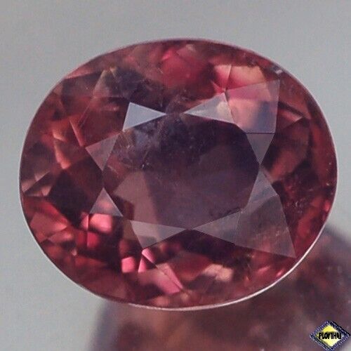 2.26CT RAVISHING AA OVAL UNHEATED BI COLOR TOURMALINE NATURAL - Picture 1 of 2