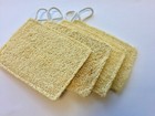 4 Loofah dishwashing Natural sponge scrubber compostable Rectangle from Vietnam