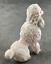thumbnail 4 - Tiny Vintage White Poodle Figurine 2&#034; FREE SHIP