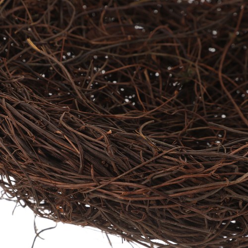 Roard Bird Nest économies Nest à la main