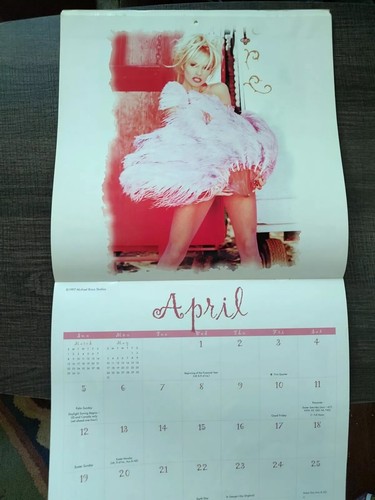 Vintage Pamela Anderson Lee 16 Month Calendar 1998 With Bonus Poster - Picture 8 of 12
