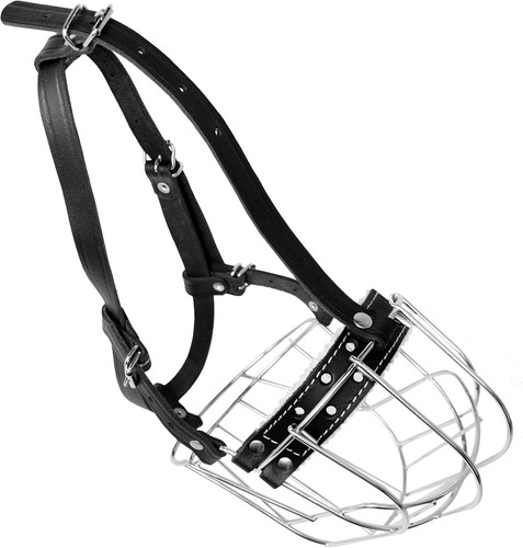 Lightweight Metal Dog Muzzle for Safe Grooming & Outdoor Use - Rottweiler Fit - Picture 10 of 10