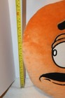 Foto 9 di 10