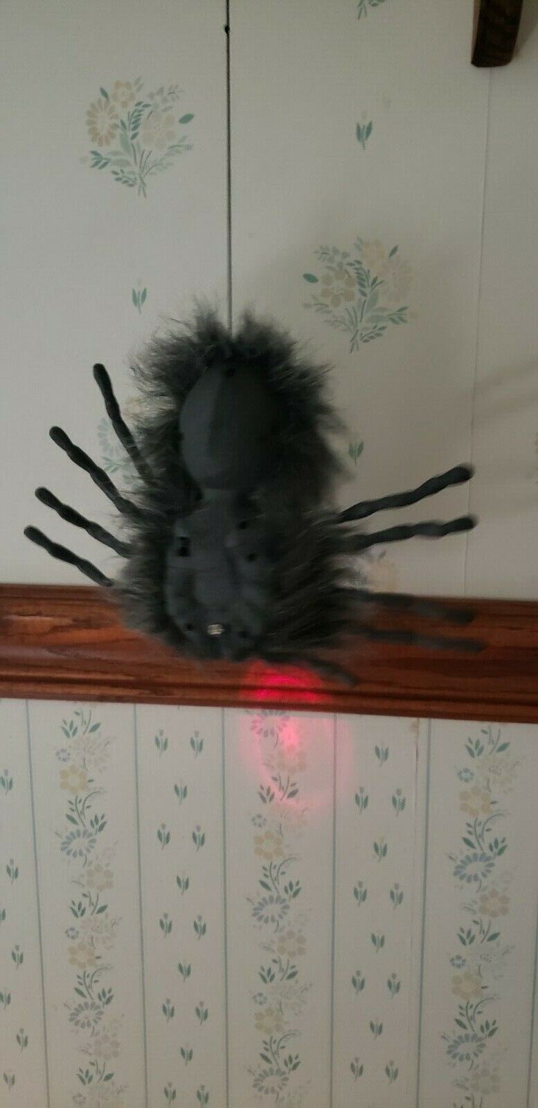 Picture 4 of 9