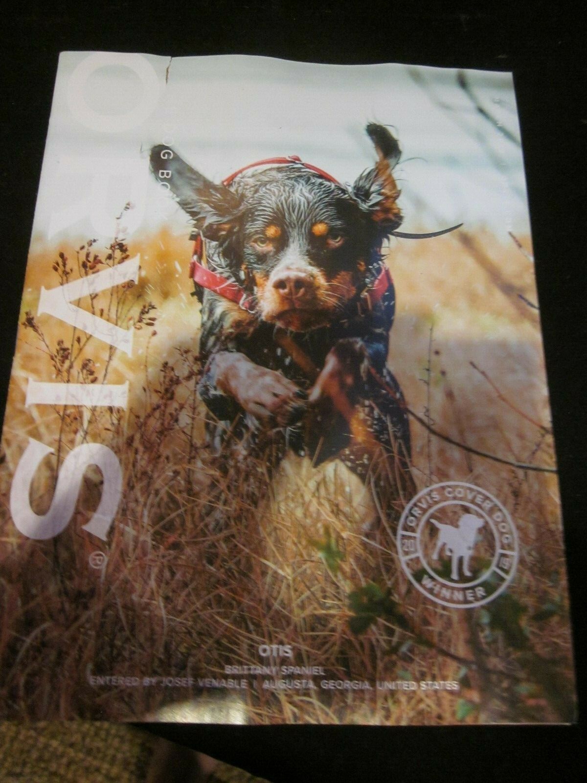 Orvis Dog Catalog March 2019 The Dog Book Otis Brittany Spaniel Cover
