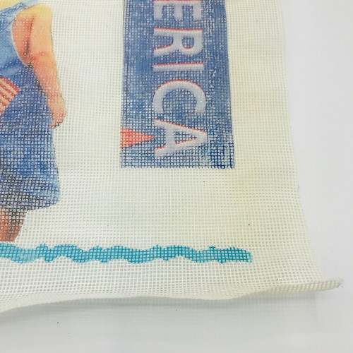 Needlepoint Pattern God Bless America Little Boy in Overalls USA Flag Patriotic - Picture 7 of 8