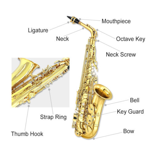 E Flat Alto Saxophone with Gold Lacquer for Beginners Complete Kit with Sax Case - Picture 2 of 14