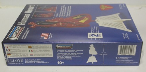 NUEVO Kit Modelo Científico Plástico Correcto Corazón Humano Lindberg - Imagen 3 de 4