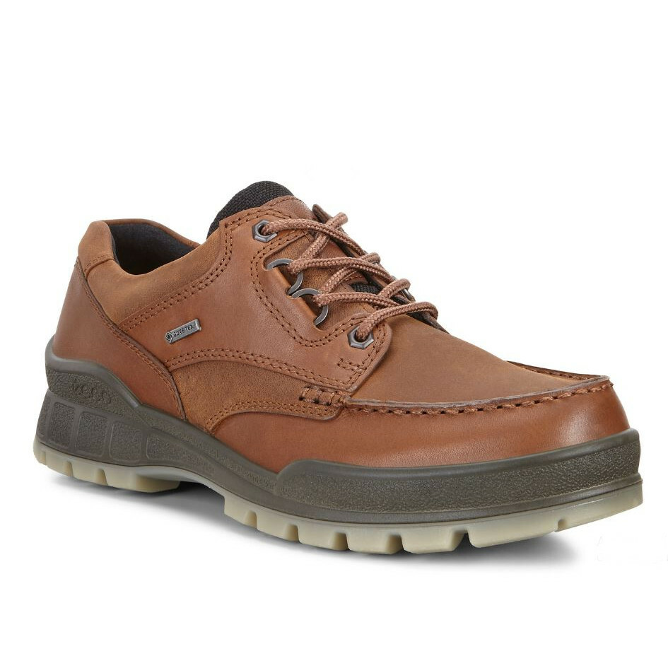 ecco track 25