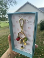 NEW In Box - True To Form Tomato, Cannoli, Pasta, Olive Hand Bag Charm Key Chain