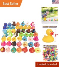 Assorted Rubber Duck 50-Pack - Perfect for Toddler Gifts  Party Supplies