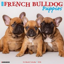 French Bulldog Puppies 2026 12" x 12" Wall Calendar (free shipping)