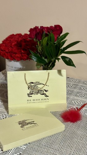 NWT Unisex Burberry Scarf Beige Classic  Silk Wrap - Bild 4 von 4