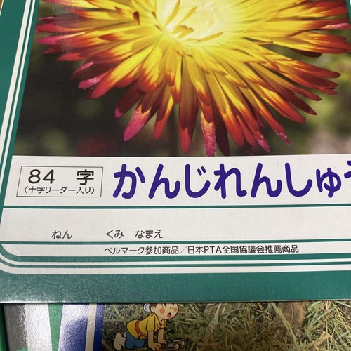 Kanji Practice Notebook 150/120 Characters Handwriting Journal Used - Picture 4 of 5