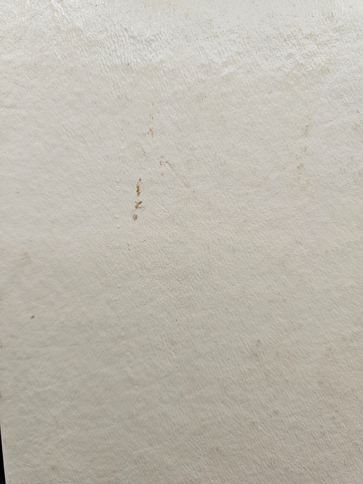 Picture 10 of 12