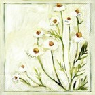 CAMOMILLE Daisy Flowers IHR paper lunch napkins 3 ply 33 cm square