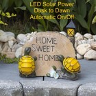 Turtles Home Sweet Home Solar Powered LED Outdoor Decor Garden Light Flower Bed
