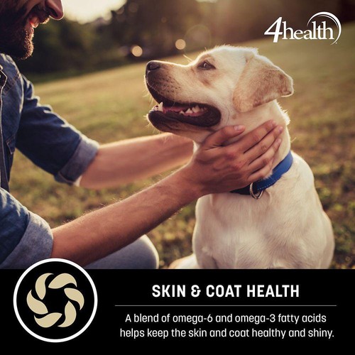 4health 1864 Wholesome Grains Small Bites Chicken Formula Dry Dog Food, 35 lbs - 第 4/5 張圖片