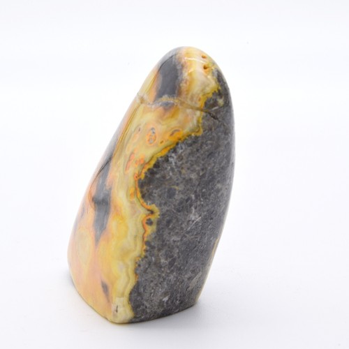 Bumblebee Jasper Freeform - Picture 3 of 5