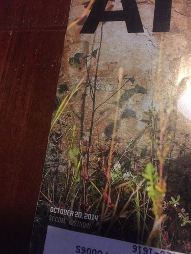 SPORTS ILLUSTRATED Magazine Oct 20 2014 Isaiah Lamb Mississippi Mayhem - Bild 3 von 4
