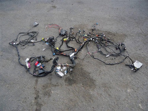 2008 C6 Corvette Z06 Body Wire Harness Roof Wires Cut Flood Repair 25952731