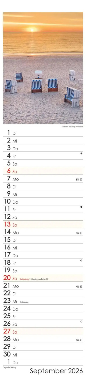Bild 11 von 14