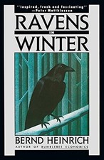 Ravens In Winter by Heinrich