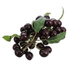  Deko Obst Dekorative Künstliche Früchte Simulationsfrucht Falsche