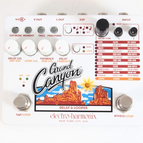 ELECTRO-HARMONIX Grand Canyon Delay & Looper - Picture 2 of 6