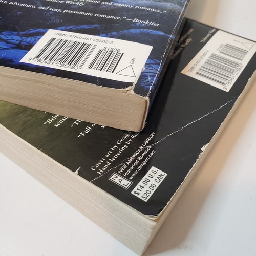 Bertrice kleines Lot von 24 PB/HC Büchern Borderlands Chroniken Kanal Erotik - Bild 9 von 21