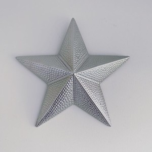 Stunning Large Silver Ceramic Star Wall Decor Luxe 24cm Ebay