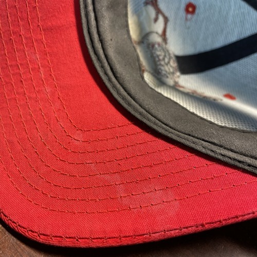 Vintage 1993 Taz Tasmanian Devil Looney Tunes Snapback Hat Cap Warner Bros. - Picture 17 of 19