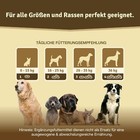 Bild 3 von 5